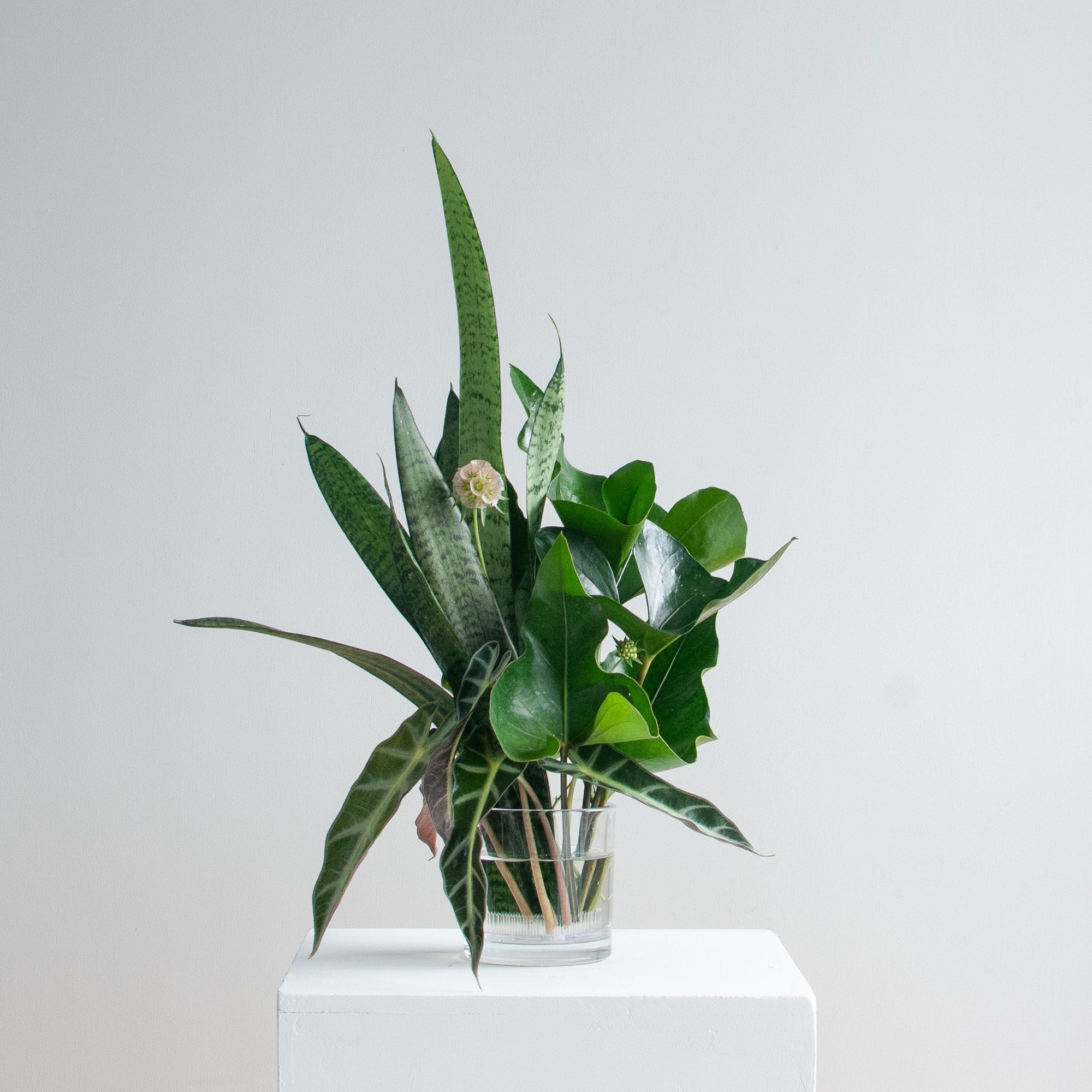 Foliage Vase Arrangement